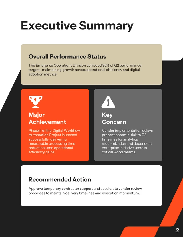 Executive Management Report Template - Seite 3