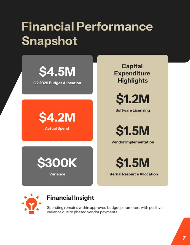 Executive Management Report Template - Seite 7