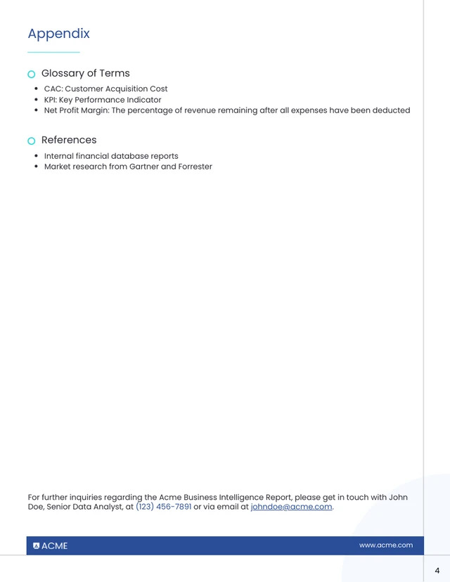 Business Intelligence Report Requirements Template - page 4