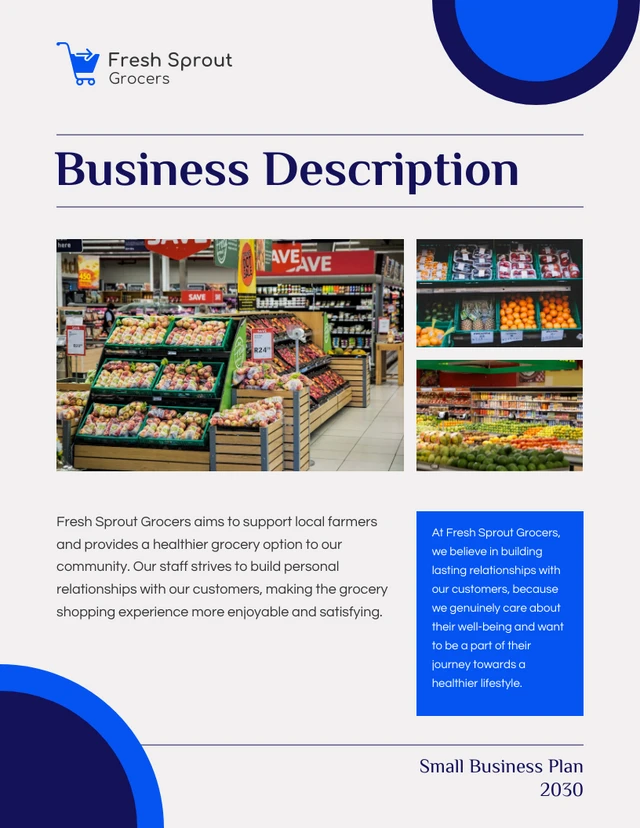 Blue And White Circular Small Business Plan - Page 2