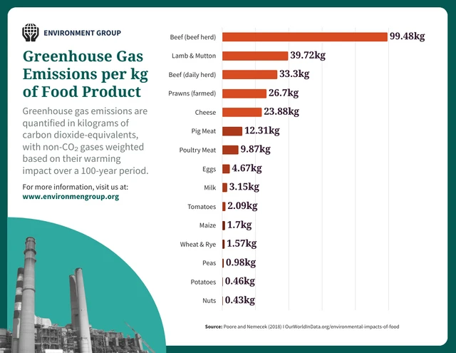 Modèle d'infographie sur les impacts environnementaux des émissions de gaz à effet de serre