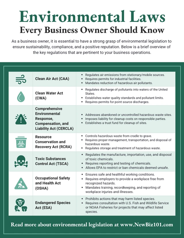 Plantilla de infografía sobre las leyes ambientales que los propietarios de empresas deben conocer