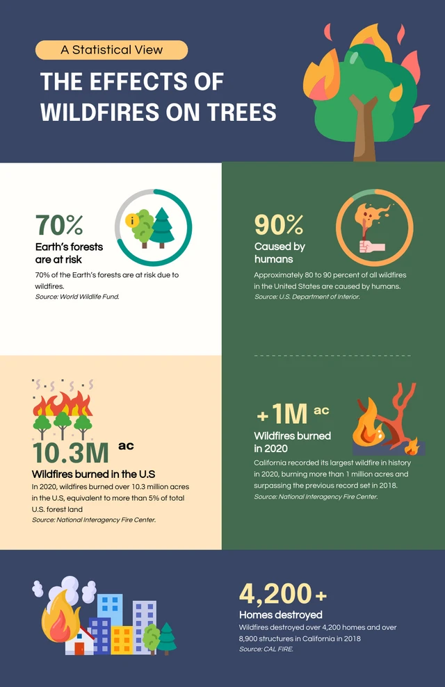 The Effects Of Wildfires On Trees Infographic Template