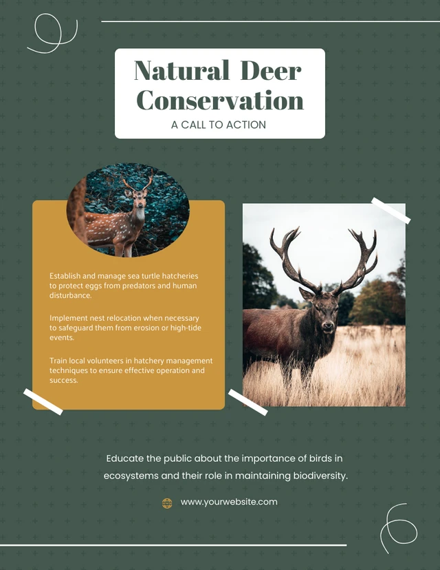 Dark Green Natural Deer Conservation Flyer Template