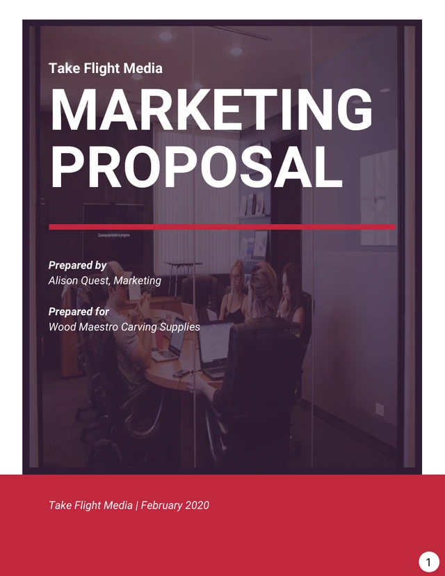 Professional Marketing Proposal - Page 1