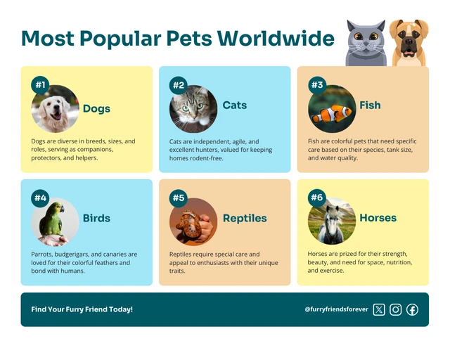 Plantilla infográfica sobre las mascotas más populares a nivel mundial