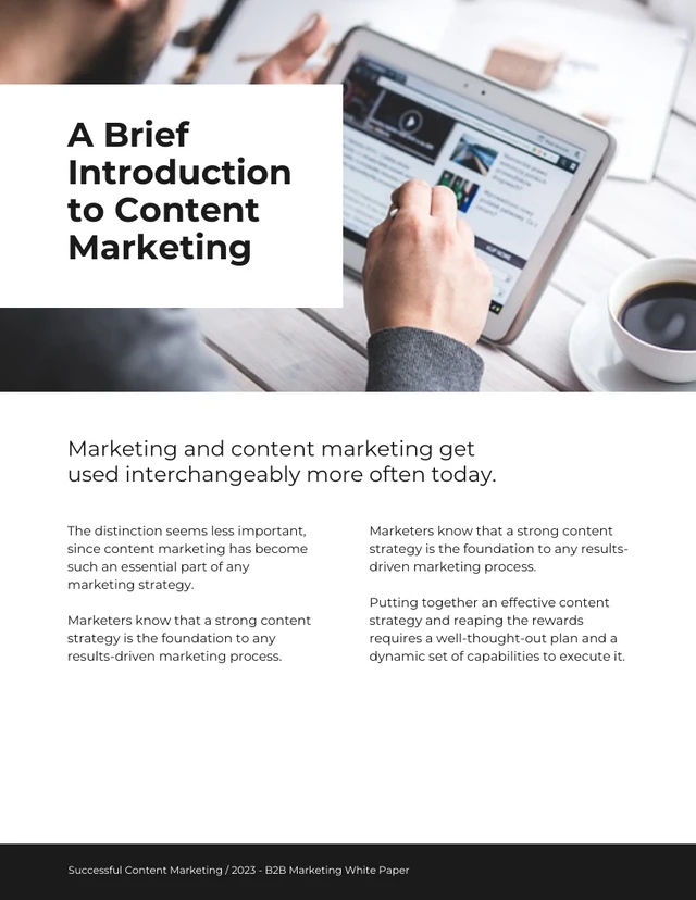 Successful Content Marketing White Paper - Página 3
