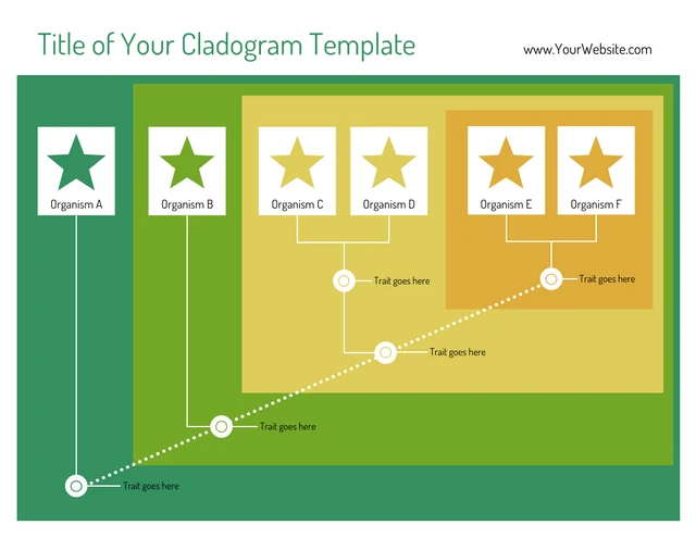Blank Editable Online Cladogram template