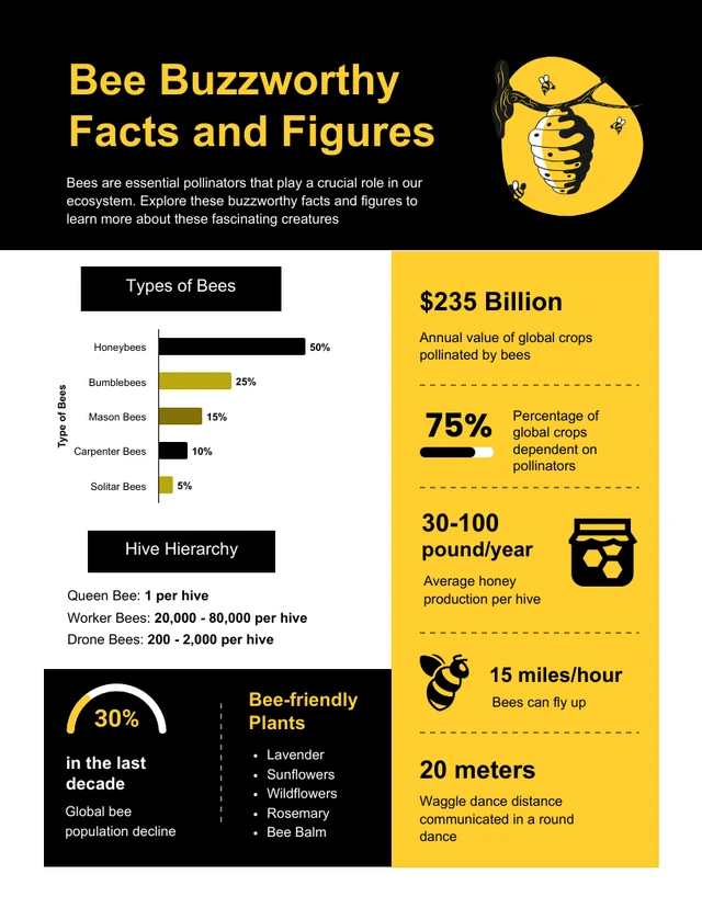 Modelo de infográfico de fatos e números de abelhas Buzzworthy