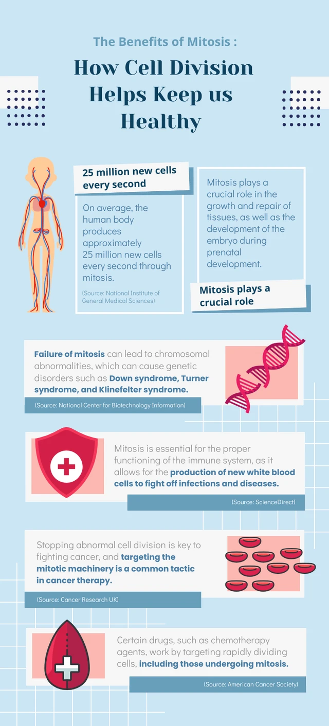 The Benefits of Mitosis: How Cell Division Helps Keep Us Healthy Template