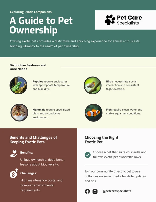 A Guide to Exotic Pet Ownership Infographic Template