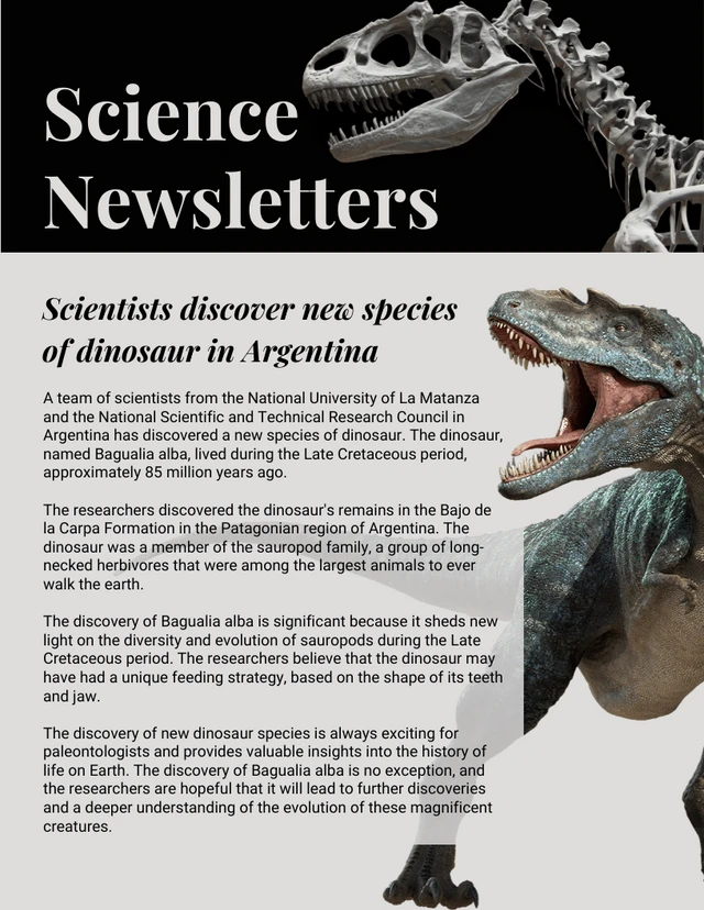 Grey And Black Classic Minimalist School Science Newsletter