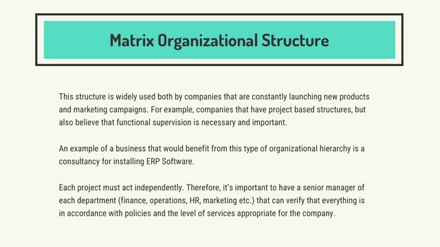 Organizational Structure Presentation - Página 6