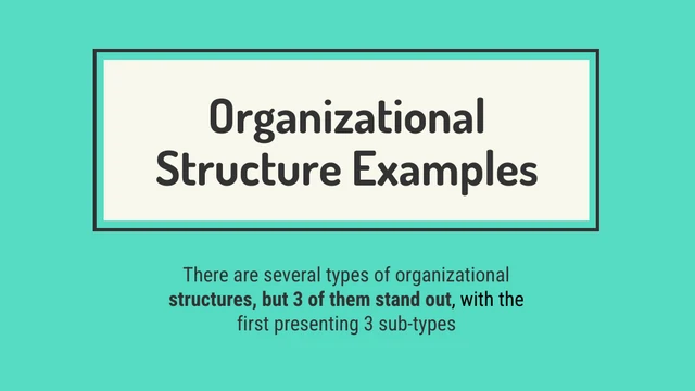 Organizational Structure Presentation - Página 1
