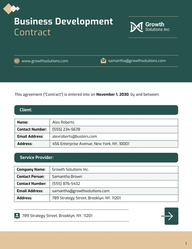 Business Development Contract Template - Page 1