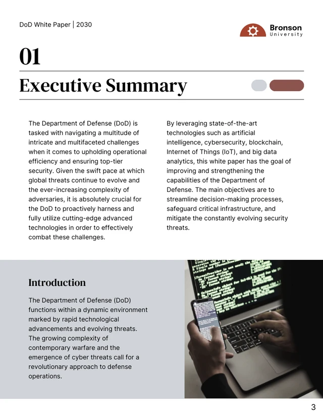 DoD White Paper Template - page 3