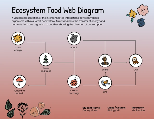 Illustrative Vorlage für ein Ökosystem-Lebensmittelnetz-Diagramm
