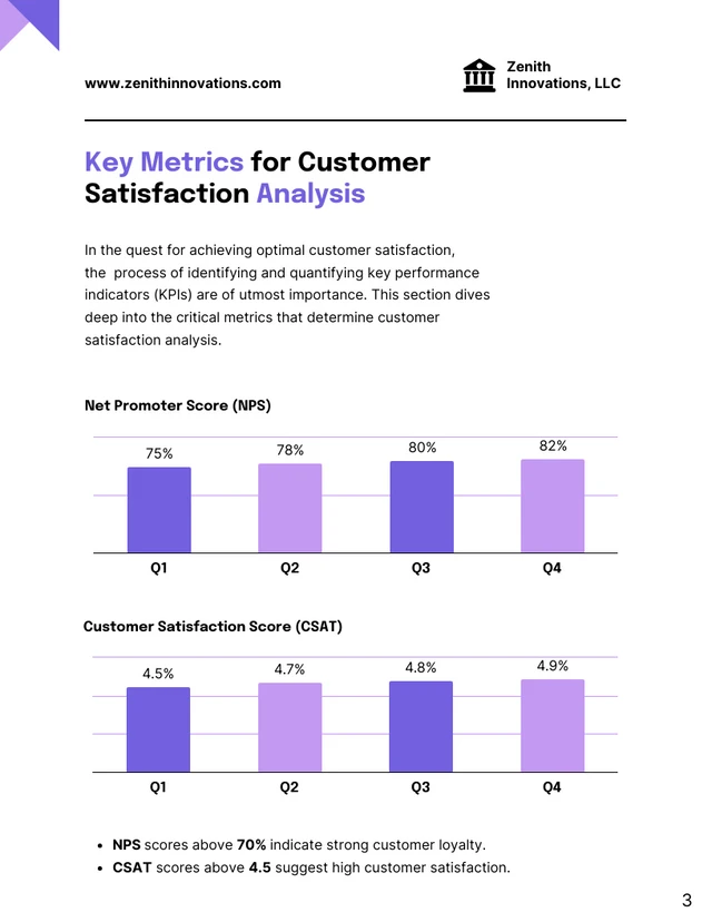 Enhancing Customer Satisfaction: Analytic Strategies Report - Page 3