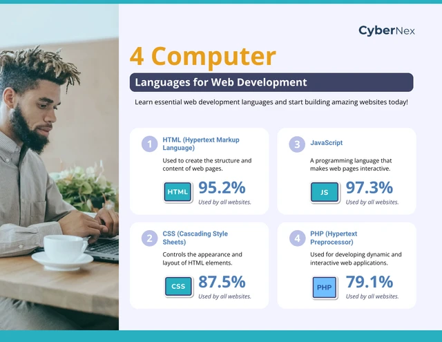 Linguagens de programação para desenvolvimento web: modelo de infográfico de computador