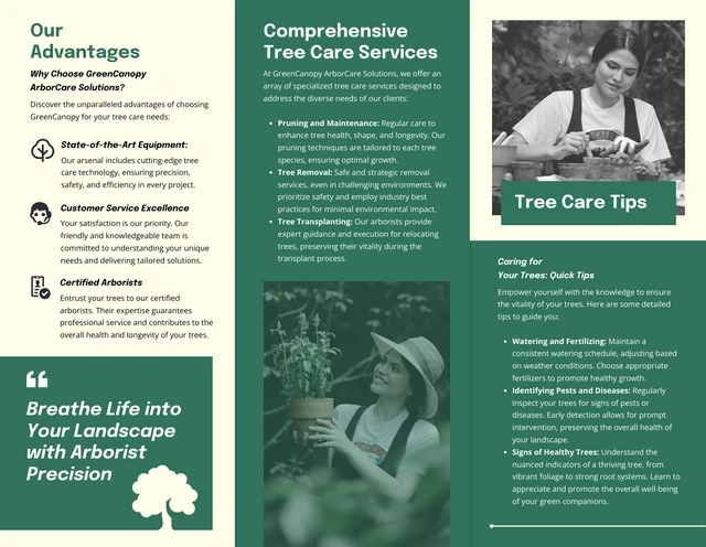 Tree Care & Arborist Services Brochure - Page 2