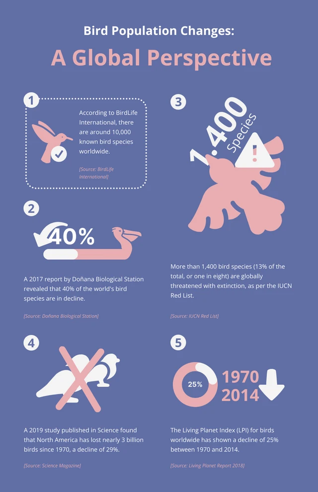Blue And Pink Cute Simple Animal Infographic Template