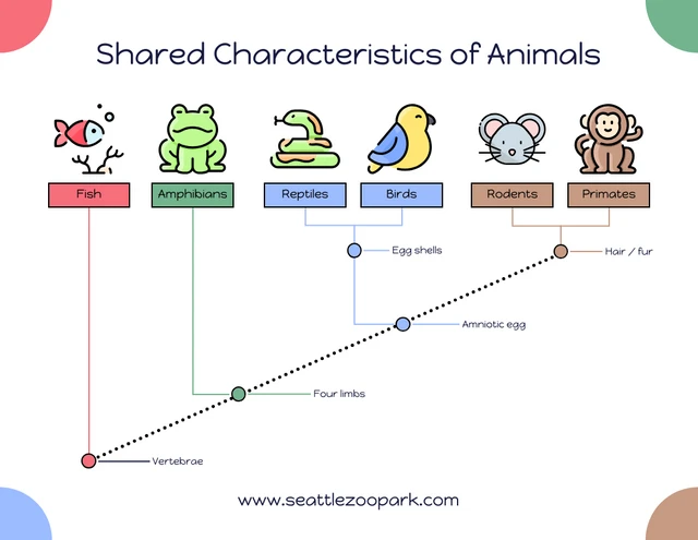 Modelo de cladograma de animais com ícones fofos