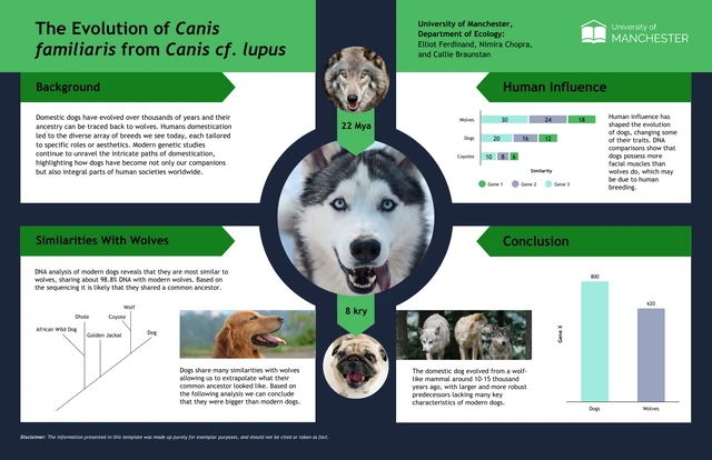 Modelo de pôster científico como os lobos evoluíram para cães