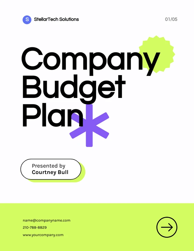 Colorful Minimalist Company Budget Plan - Page 1