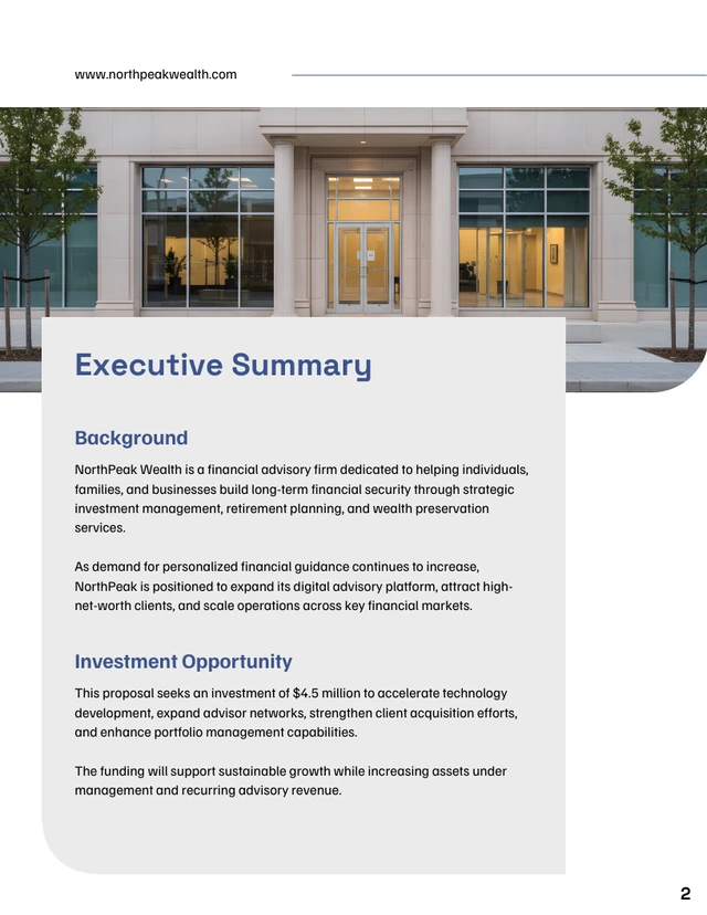 Investor Proposal Template - Seite 2