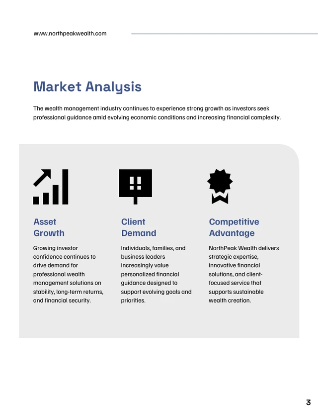Investor Proposal Template - Seite 3