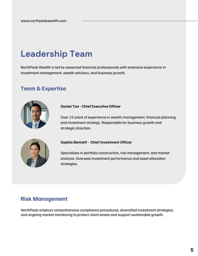 Investor Proposal Template - Seite 5