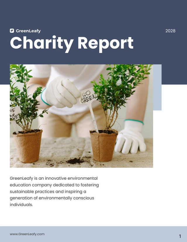 Light Blue and Green Charity Report - page 1