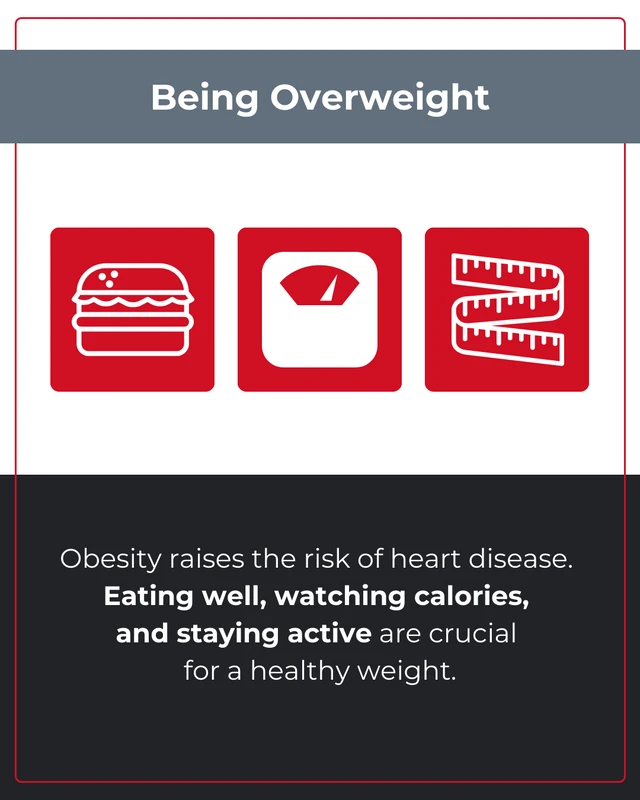 Heart Disease Risk Factors Instagram Carousel - Seite 4