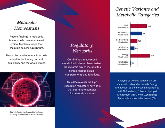 Research Brochure Template - Page 2