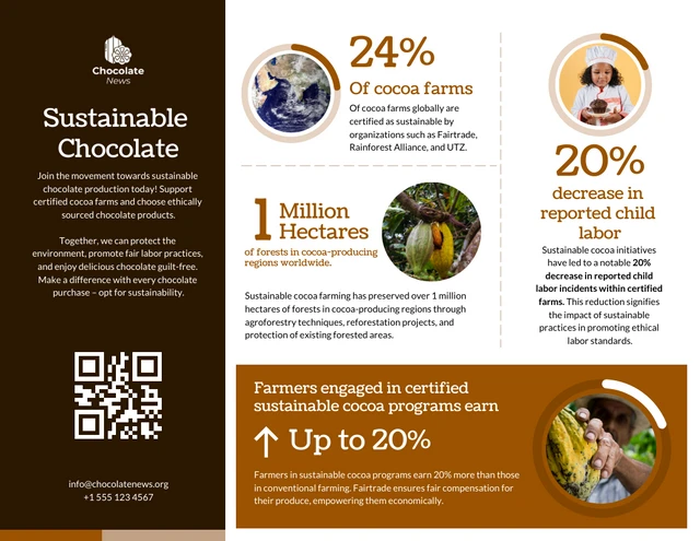 Plantilla de infografía de chocolate sostenible