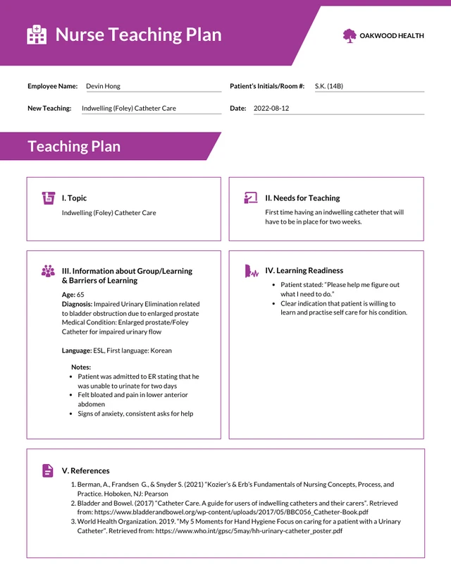 Nursing Development Plan - Página 1