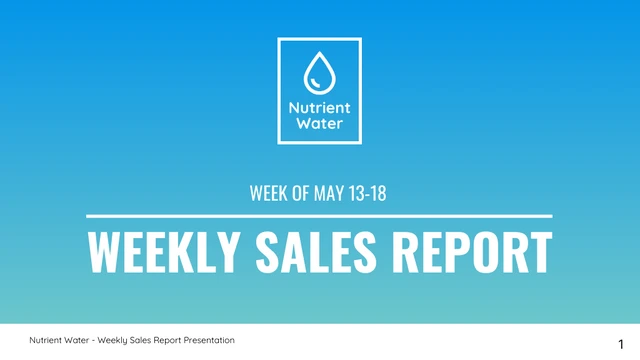 Weekly Sales Report - Page 1