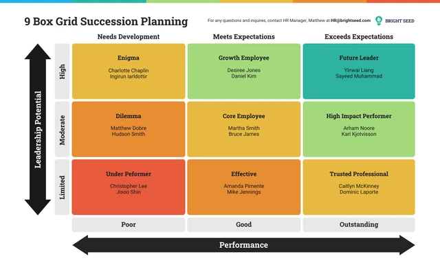 9 Box Grid Succession Planning Template - Venngage