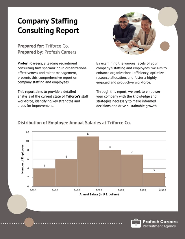 Company Staffing Consulting Histogram Template
