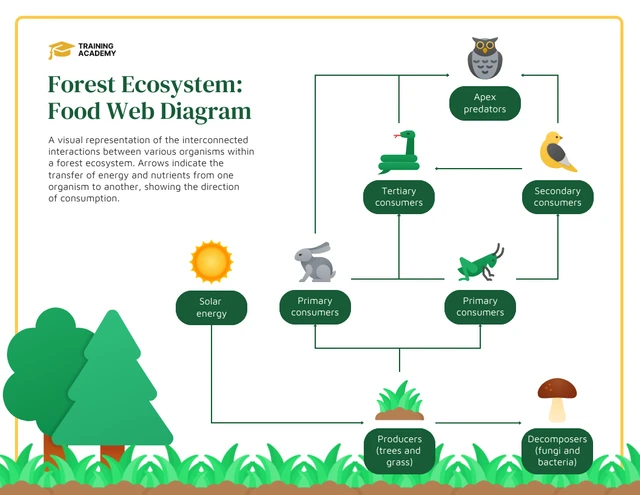 Vorlage für ein Webdiagramm zur Verbindung von Waldökosystemen