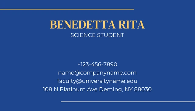 Blue And Yellow Simple Personal Student Business Card - Page 2
