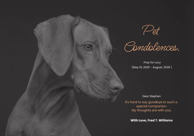 Carte de condoléances noire pour animaux de compagnie Modèle de carte de condoléances pour animaux de compagnie