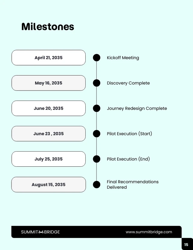 Customer Experience Improvement Business Proposal - Pagina 15