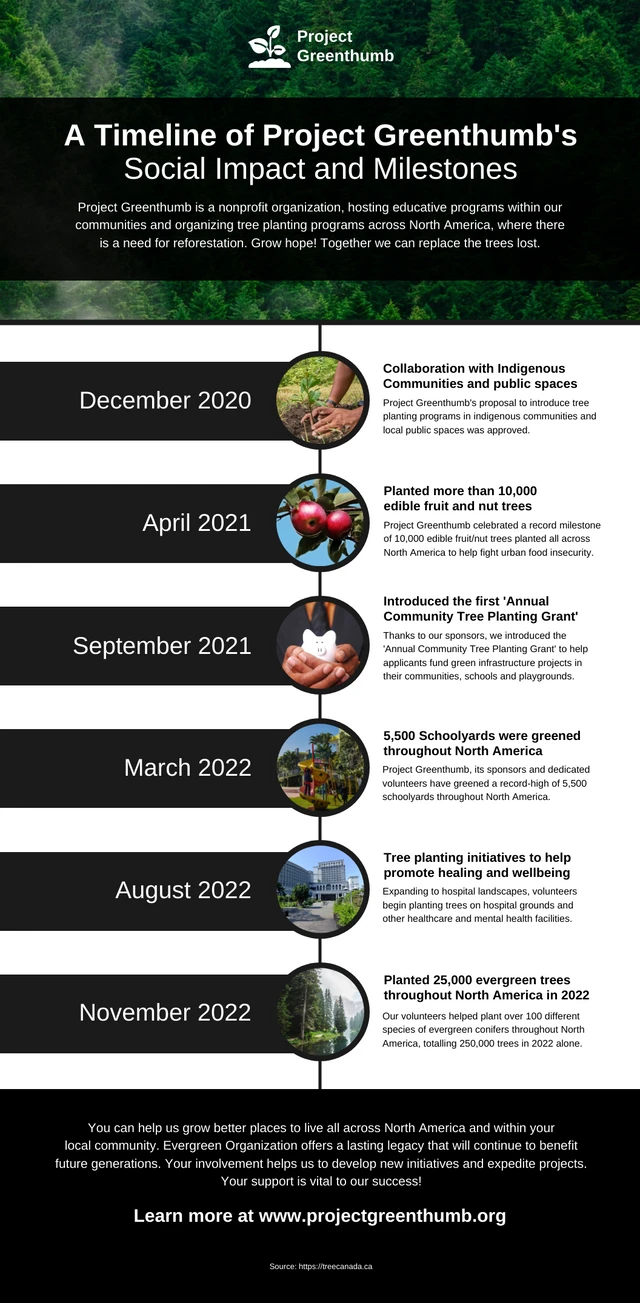 Environmental Nonprofit Social Impact Timeline