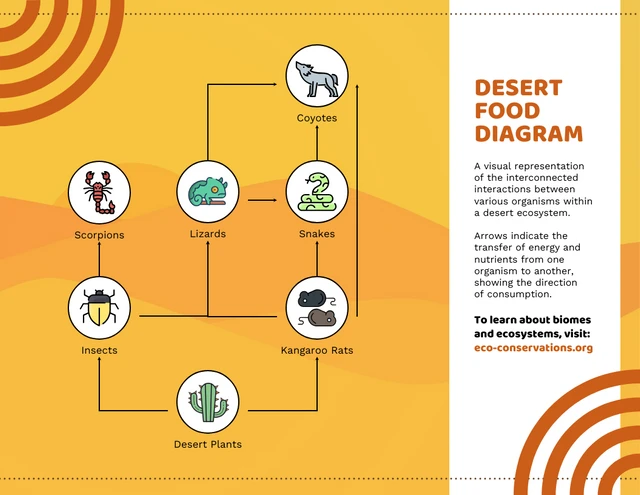 Beispielvorlage für Nahrungsnetze in einem Wüstenökosystem