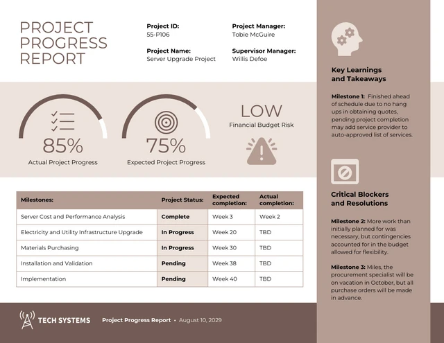 Beige Project Status Progress Report Template