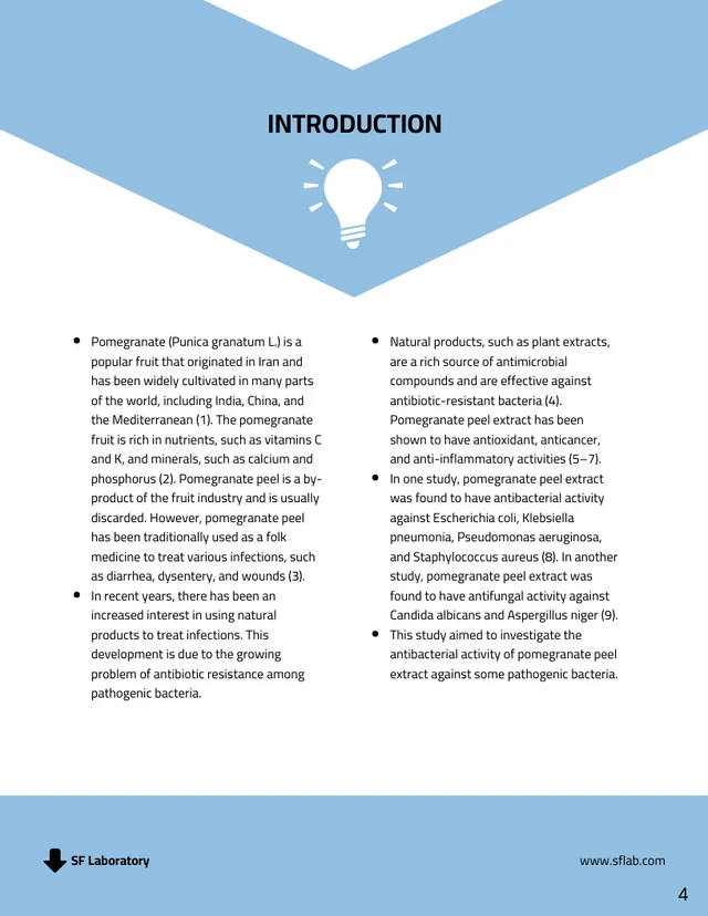 Light Blue Research Proposal Template - Page 4