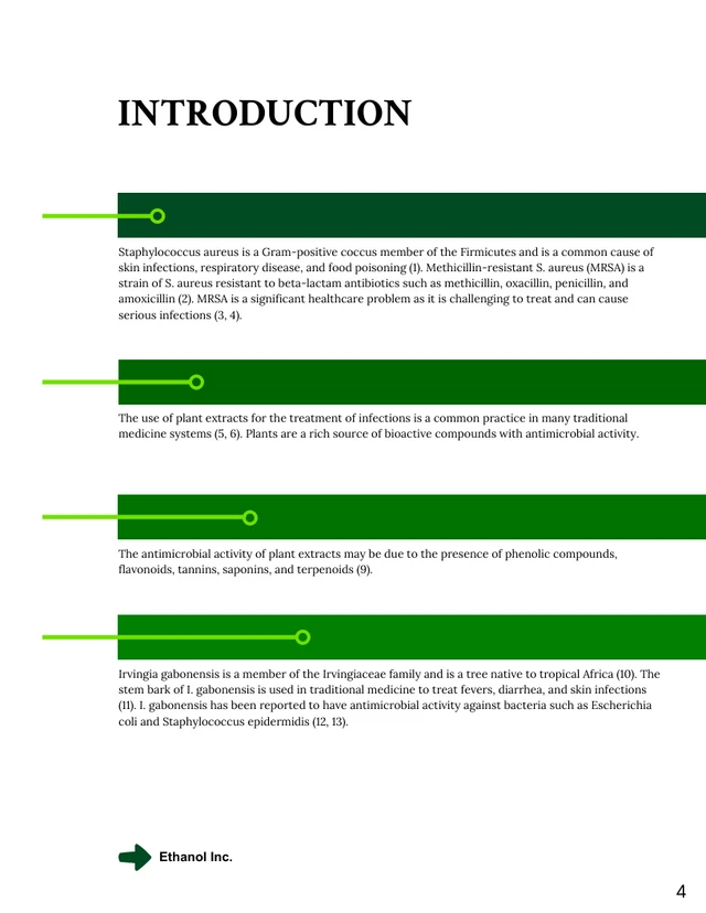 White and Green Consulting Proposal Template - Page 4