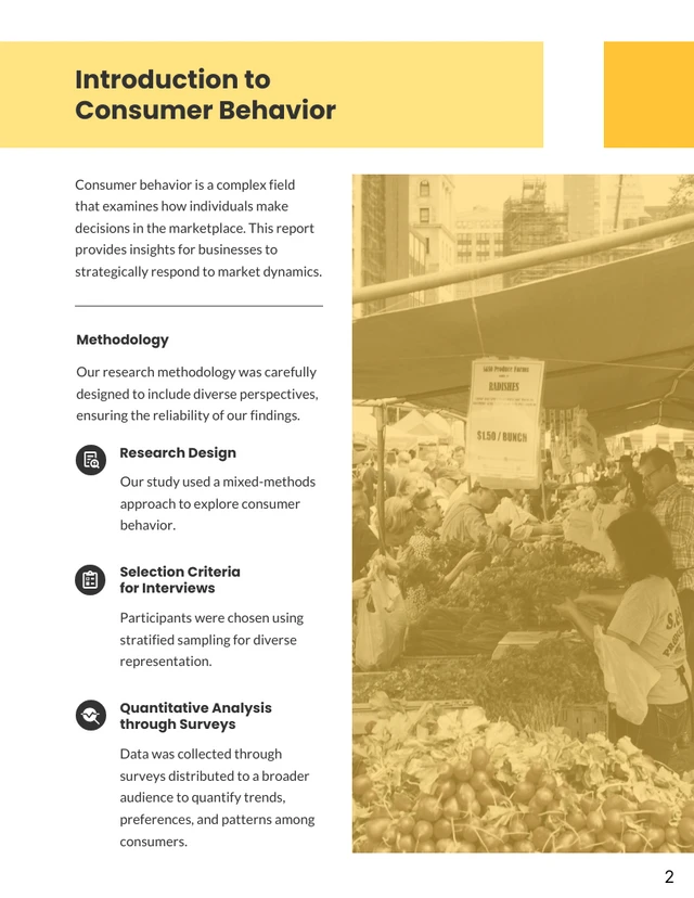 Consumer Behavior Research Report - Page 2