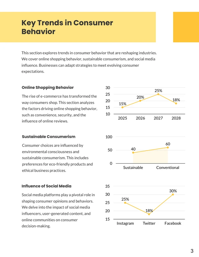 Consumer Behavior Research Report - Page 3